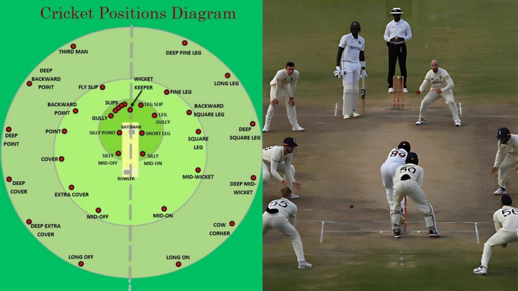 cricket positions diagram