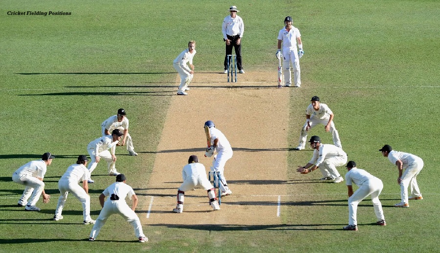 Cricket Fielding Positions