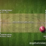 length of cricket pitch in yards